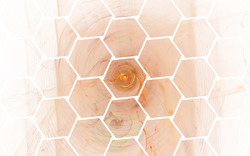 2016 01 26 Resurgent 28-white.jpg